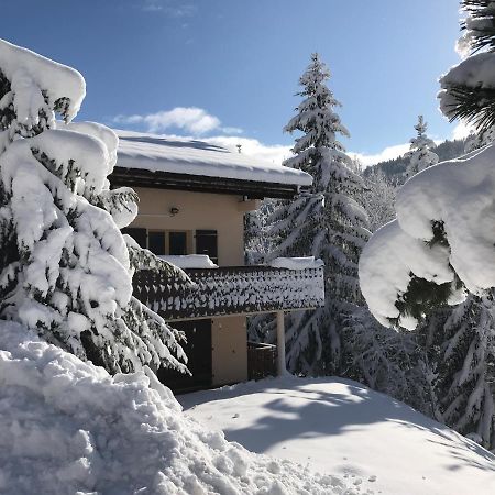 Chalet Les Trolles Les Gets Εξωτερικό φωτογραφία