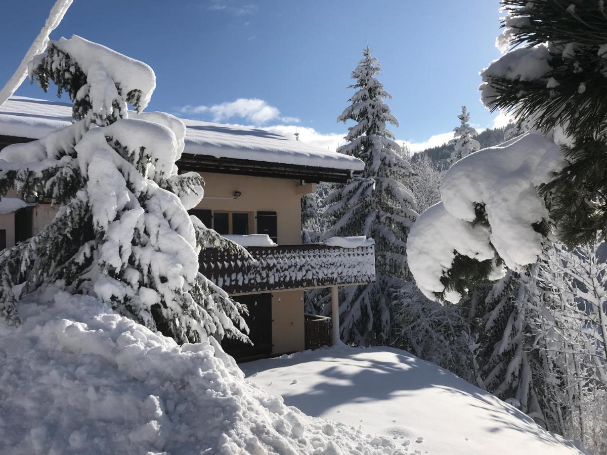 Chalet Les Trolles Les Gets Εξωτερικό φωτογραφία